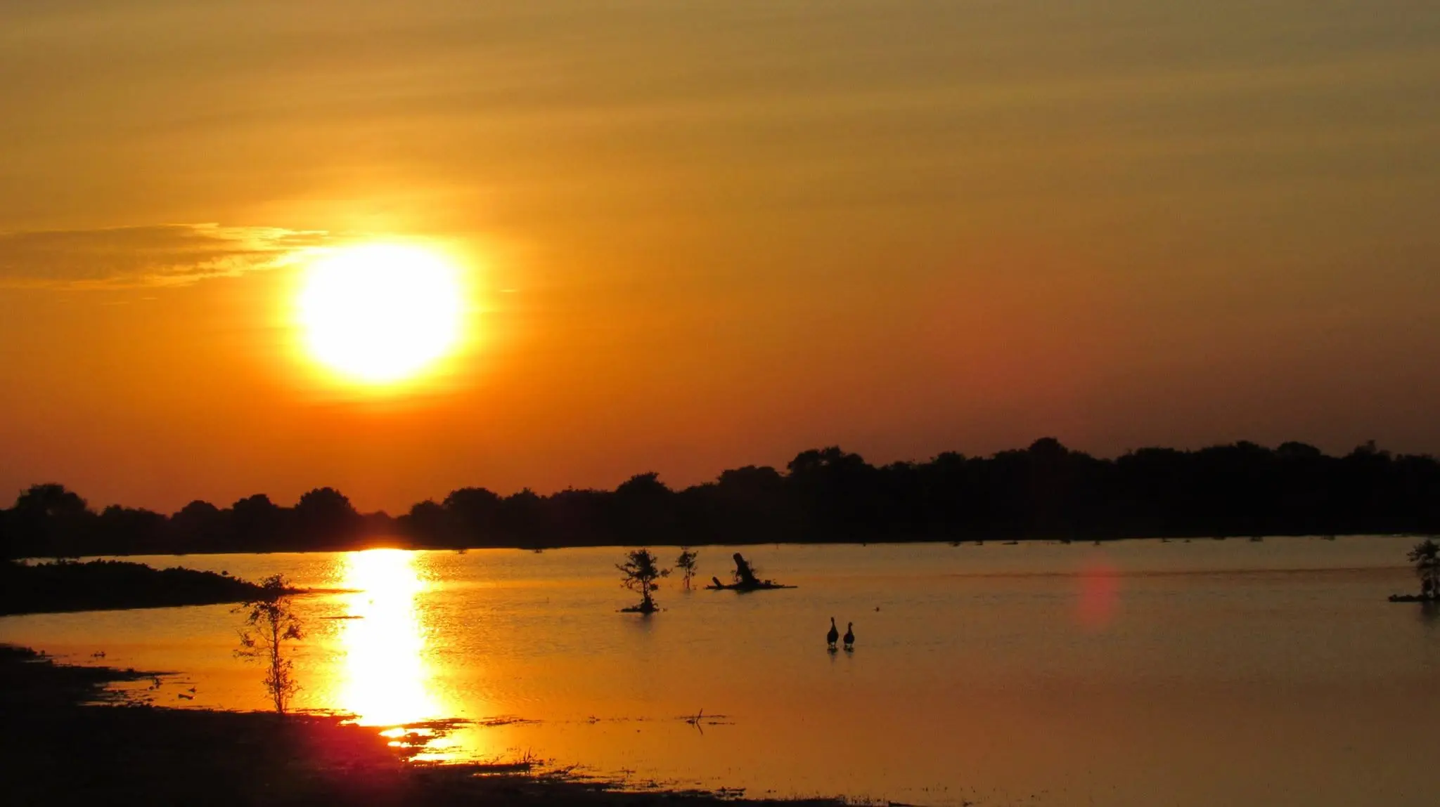 El sol grande sobre la laguna y dos garzas en el agua baja.