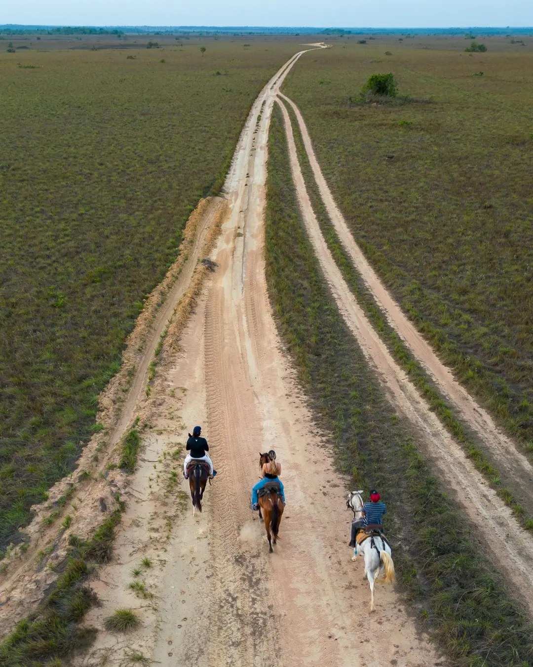 Vista desde el aire de tres jinetes por un camino de dos huellas en la sabana.