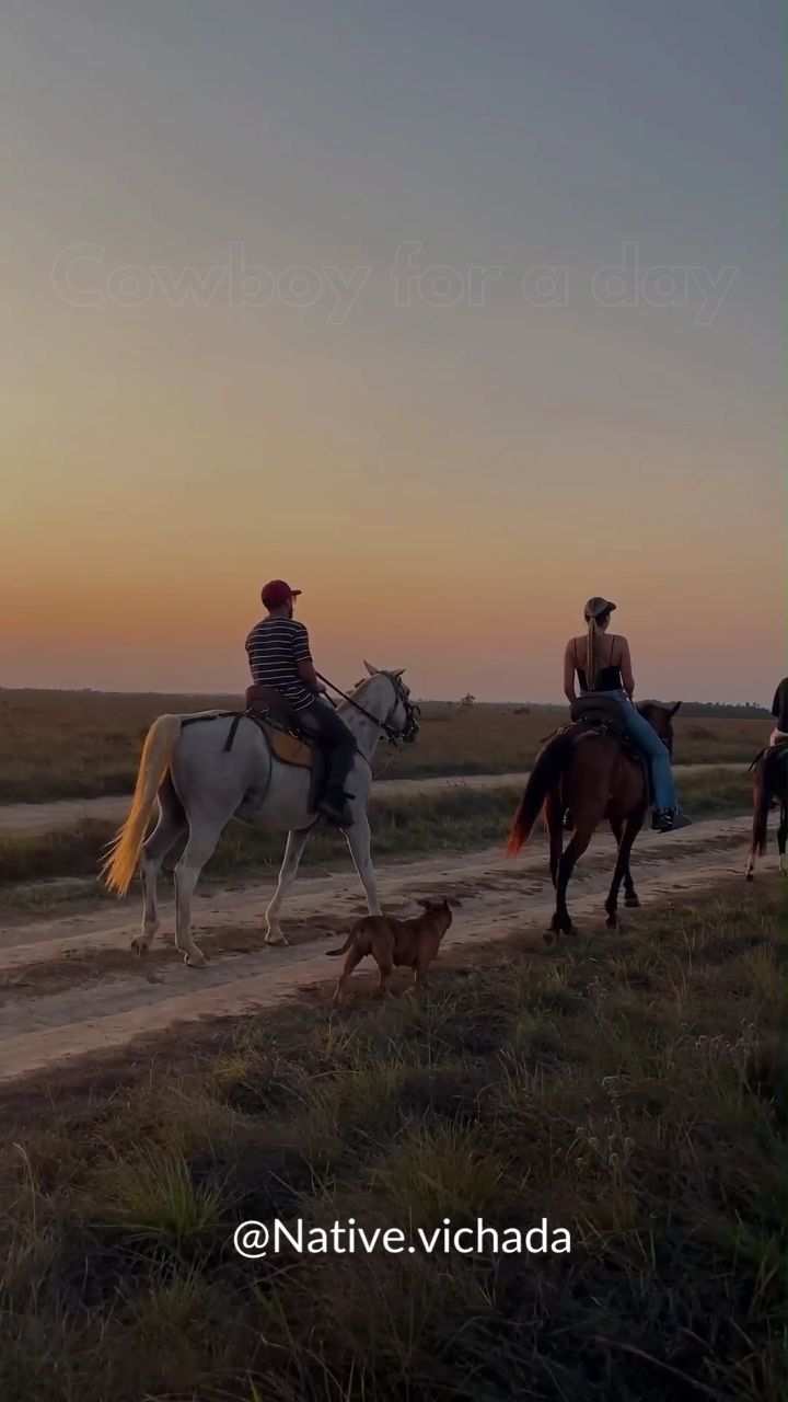 Dos jinetes y un perro por la sabana al atardecer.
