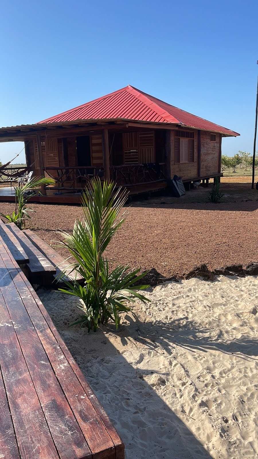 Cabaña de madera con techo rojo sobre la arena, con una palma pequeña al frente.