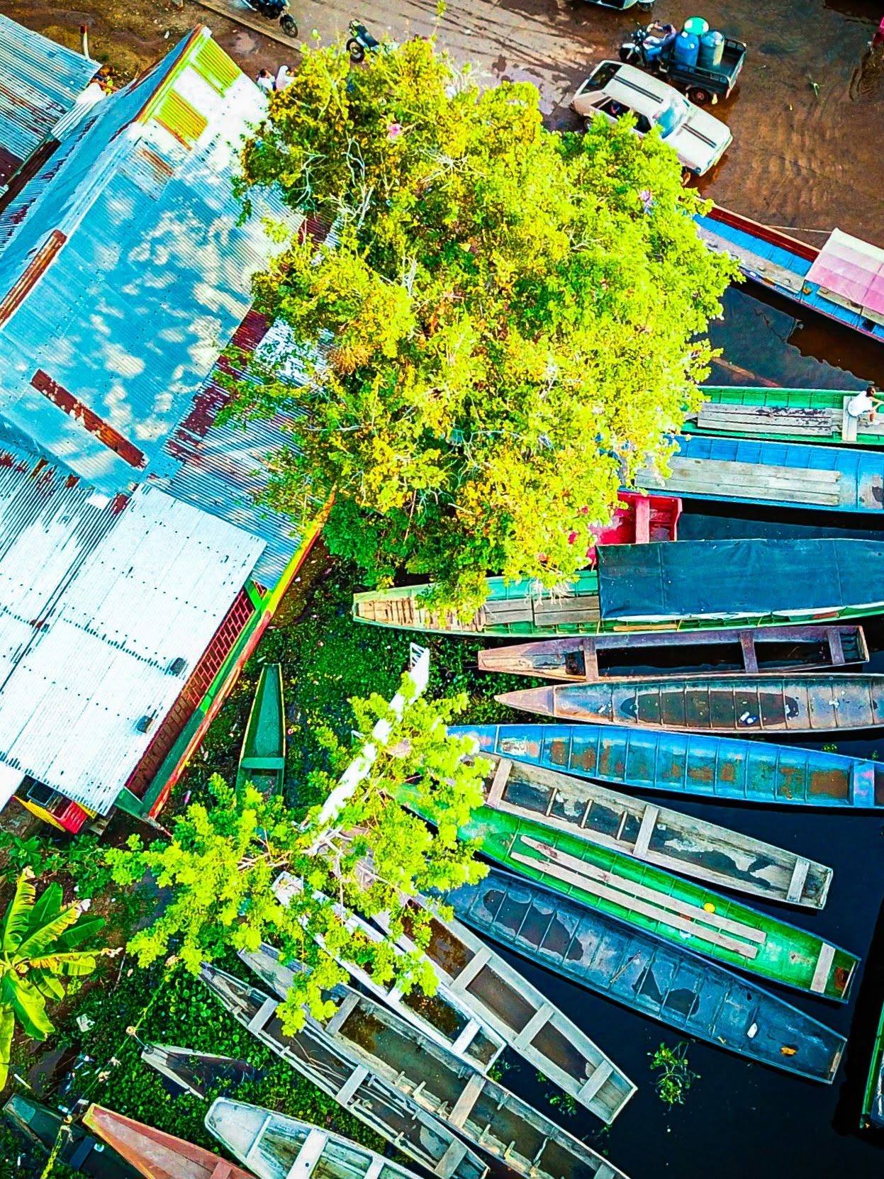 Canoas de colores y un árbol, vistos desde arriba.