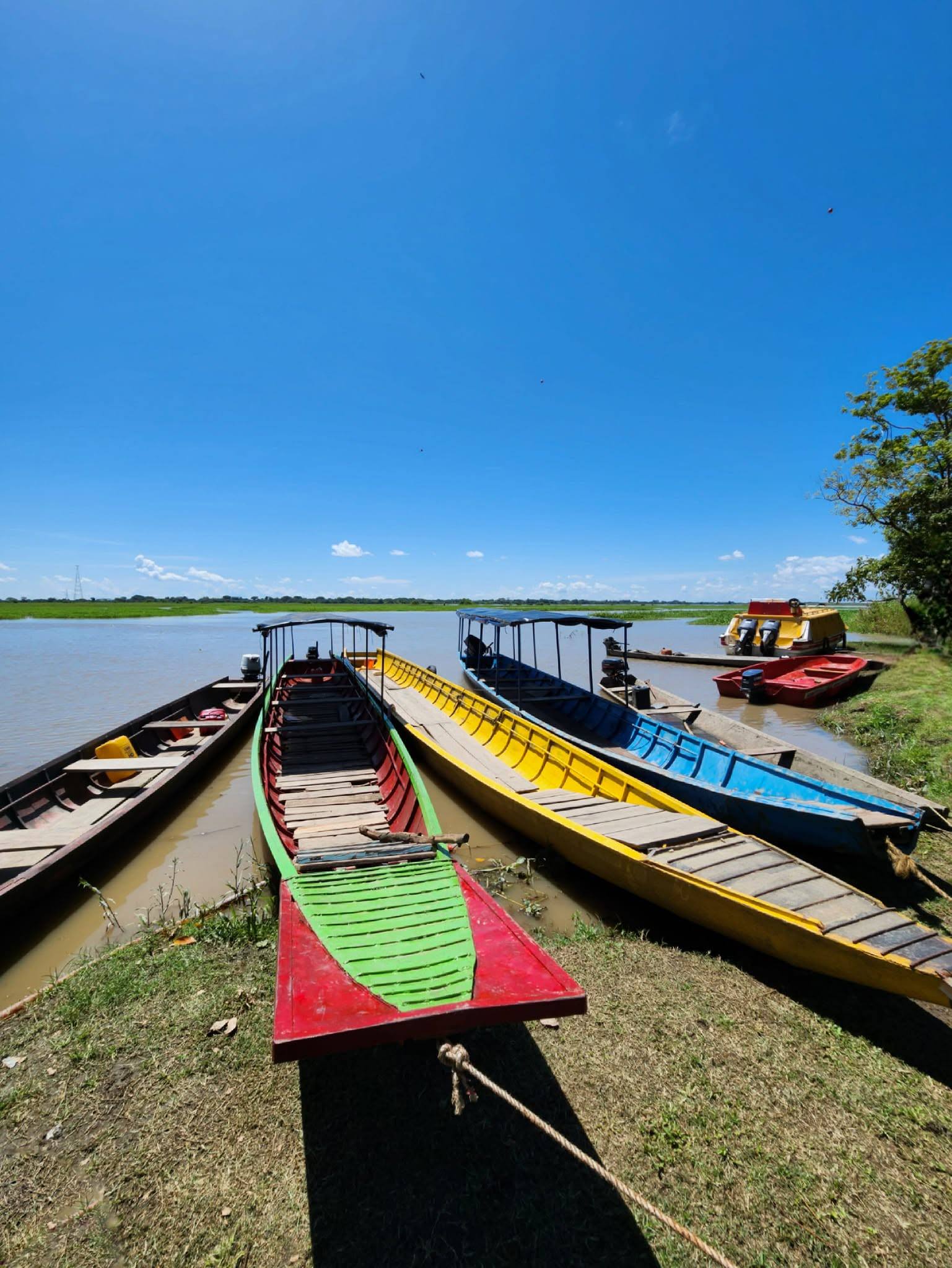 Canoas de colores en la orilla bajo cielo azul.