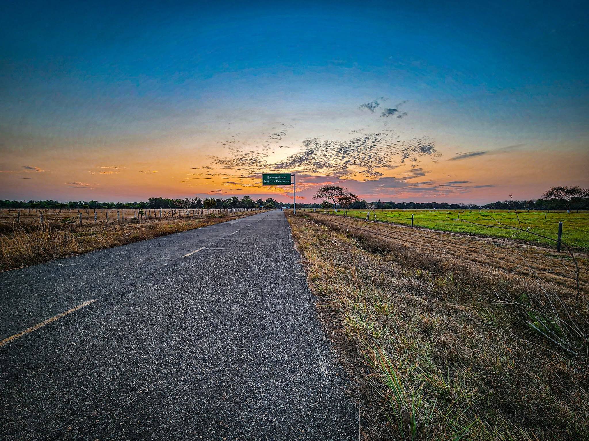 La carretera hacia La Primavera, recta entre la sabana, al atardecer; al fondo, el letrero de bienvenida.