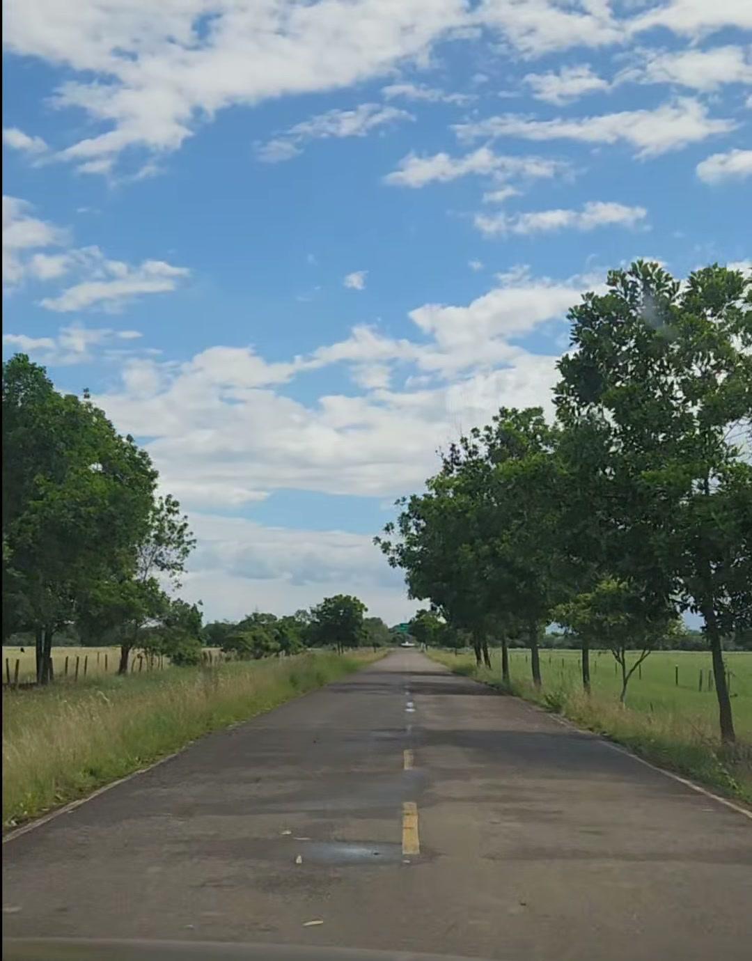 La carretera recta a la salida del pueblo, entre árboles y sabana, bajo un cielo lleno de nubes.