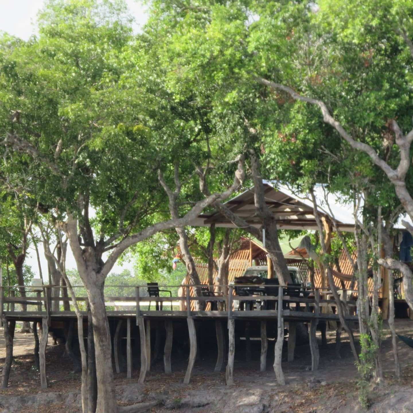 Deck de madera elevado entre árboles, a la orilla del río.