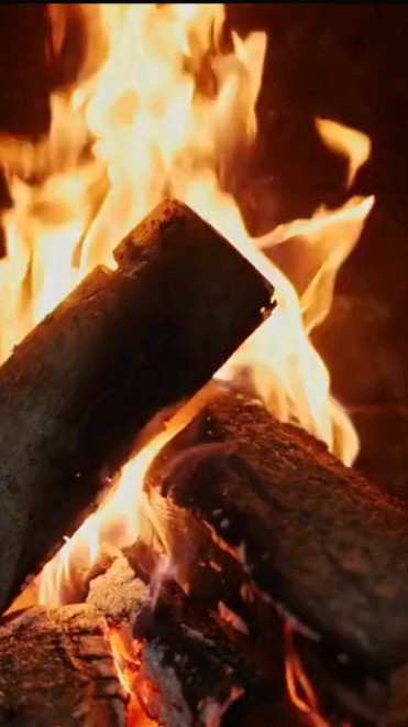 Leños ardiendo en una fogata, de cerca.