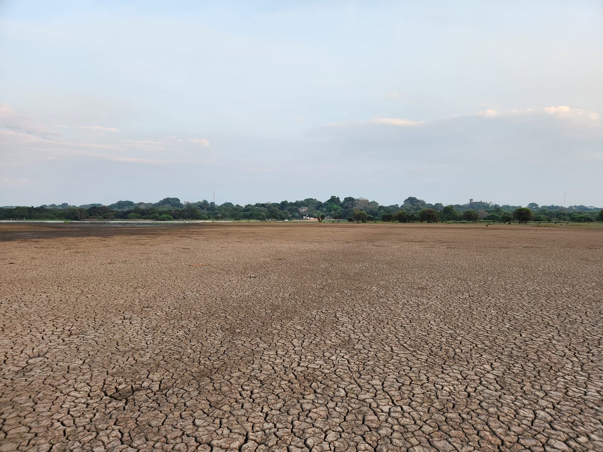 El fondo de la laguna, seco y agrietado, en un verano fuerte.