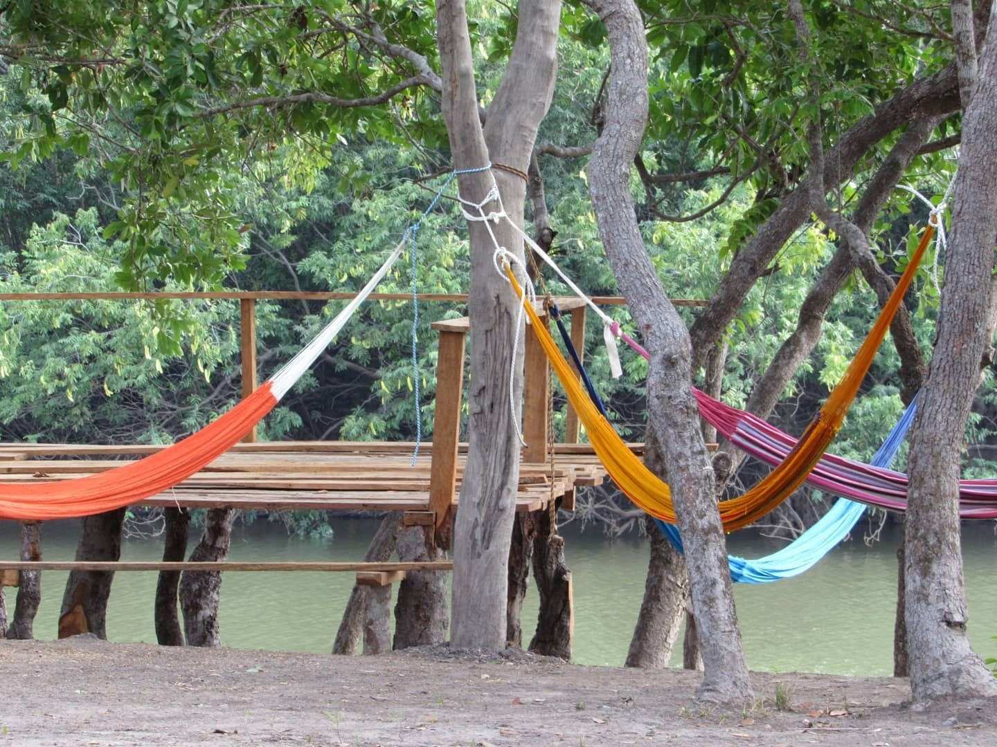 Hamacas de colores colgadas entre árboles junto al río.