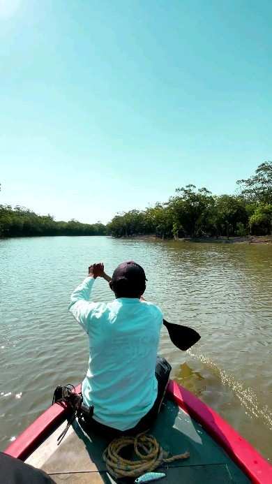 Remero visto de espaldas avanza por el río hacia el monte de la orilla.