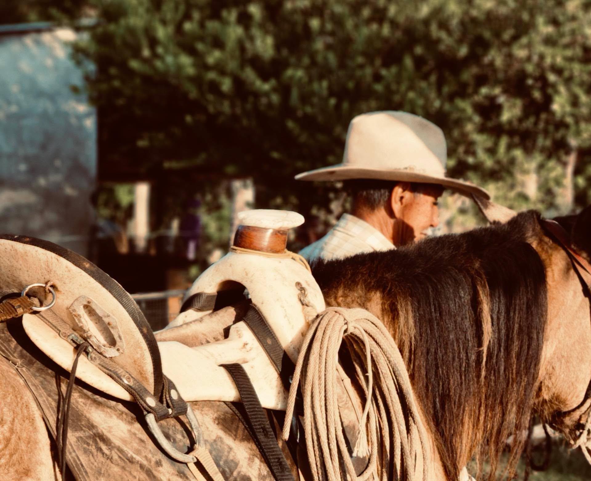 Montura, soga y sombrero a contraluz.