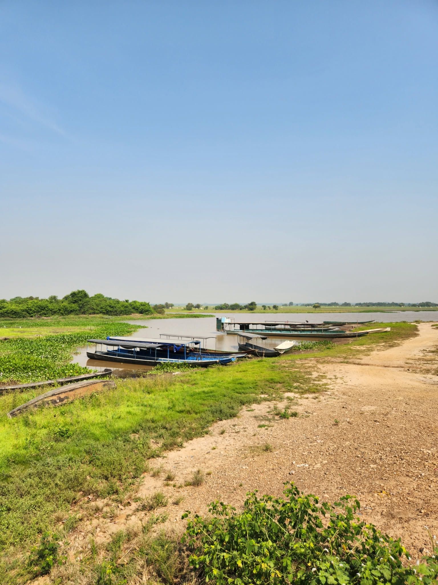 La orilla seca en verano, con canoas varadas y la laguna al fondo.