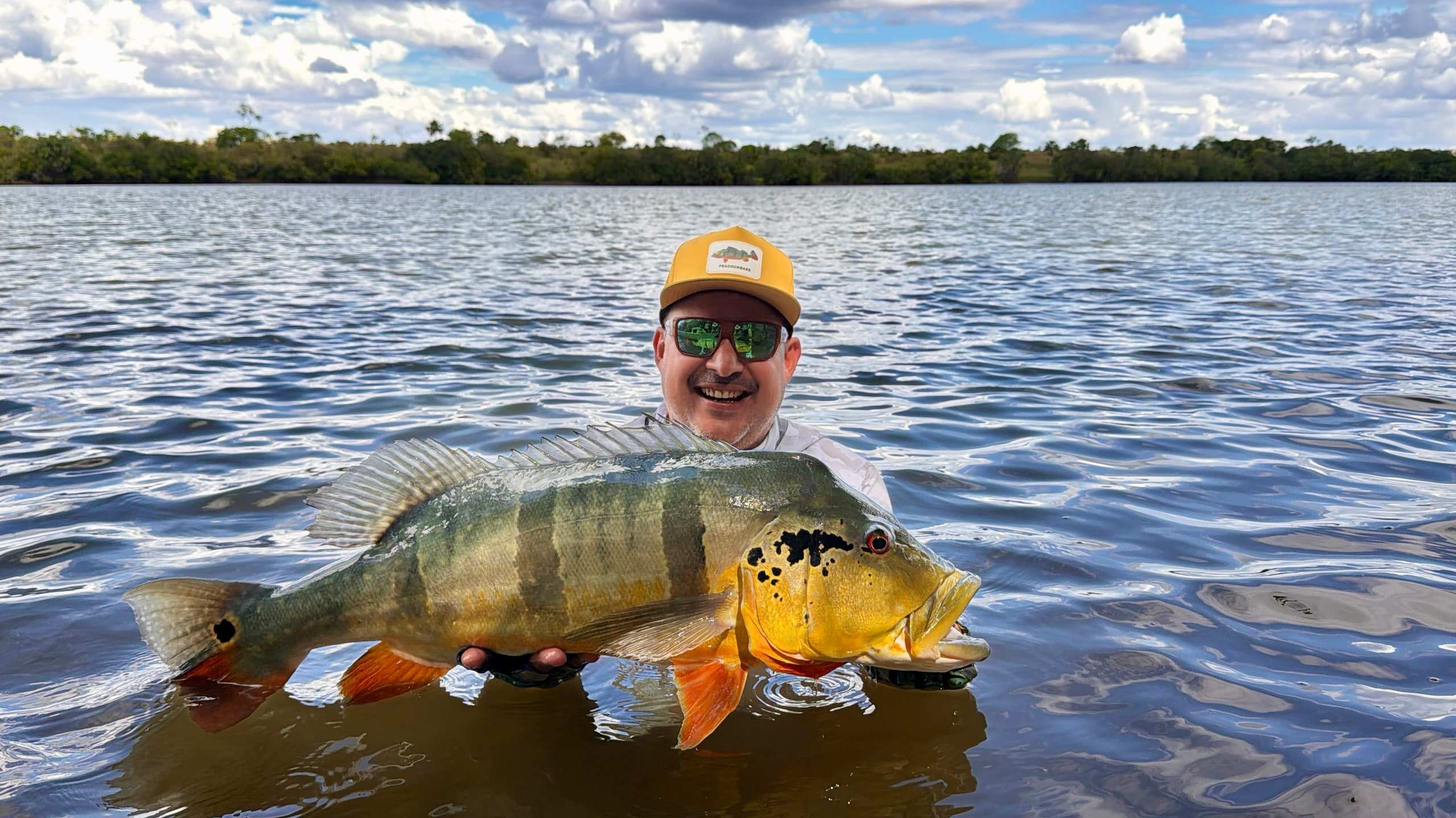 Pescador dentro del río Tomo sosteniendo un pavón de franjas negras.