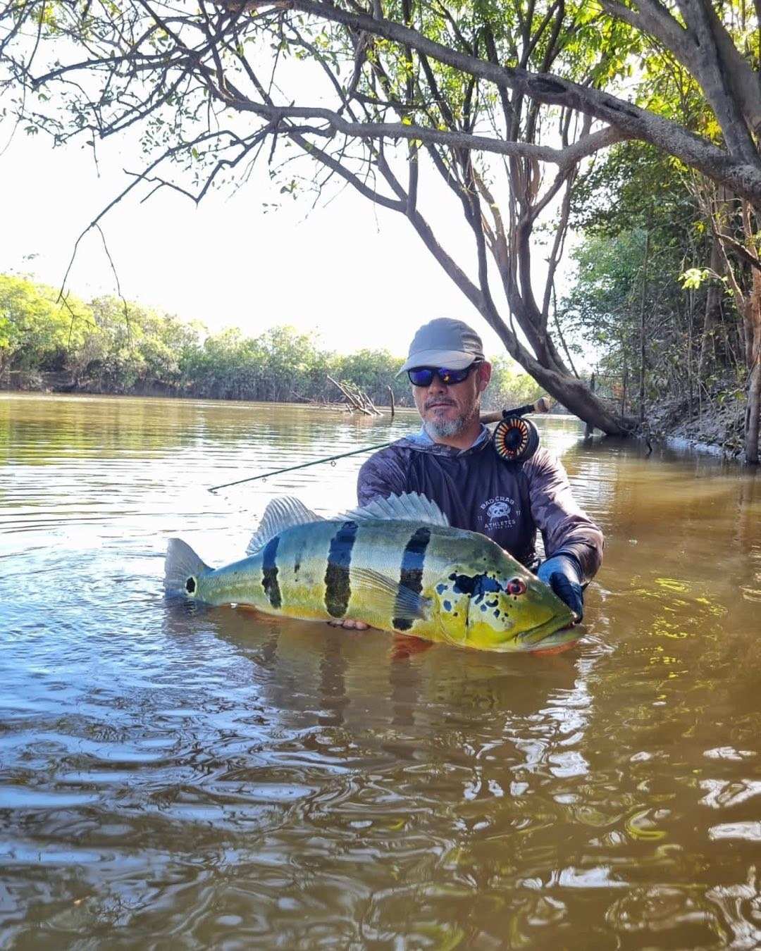 Pescador con el agua a la cintura, bajo los árboles de la orilla, muestra un pavón.