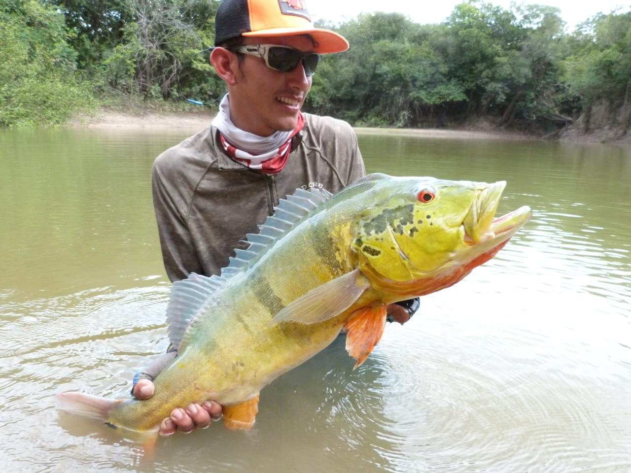 Pescador dentro del agua sostiene un pavón dorado.