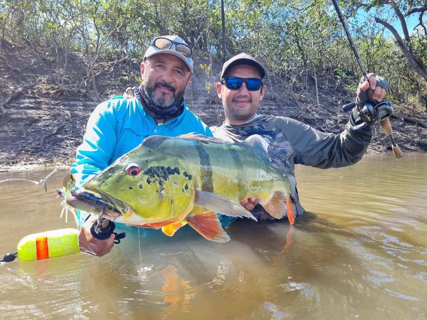 Dos pescadores dentro del agua sostienen juntos un pavón grande.