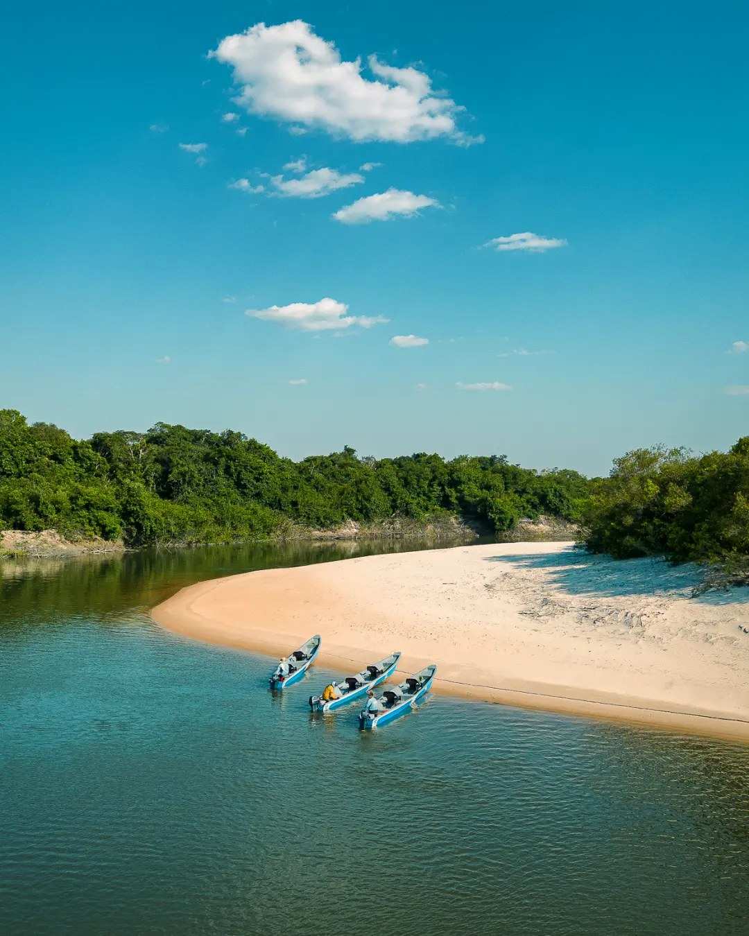 Curiaras en el agua azul del río junto a una playa de arena blanca.