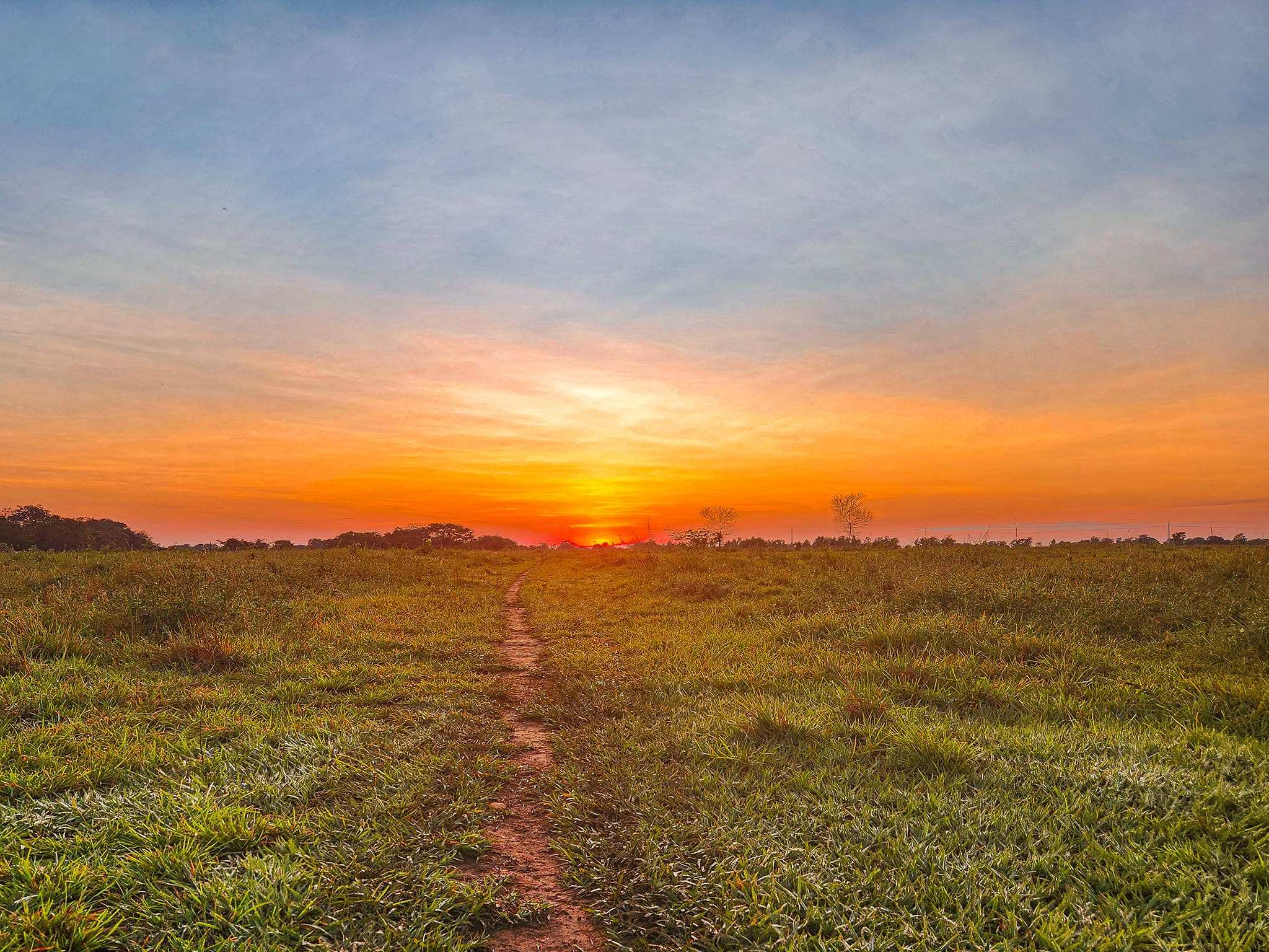 Camino de tierra entre la sabana al amanecer, con el sol asomando en el horizonte.