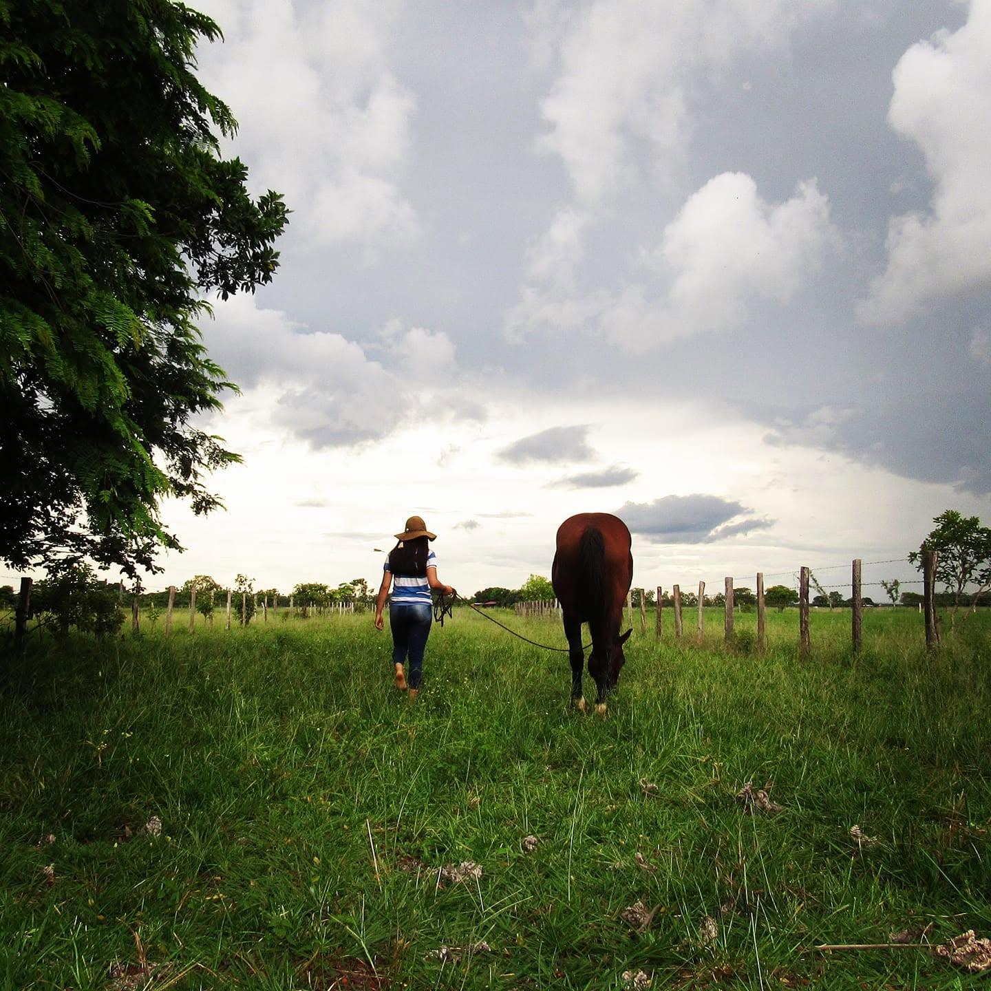 Una mujer lleva su caballo por la sabana verde, junto a una cerca de estantillos.