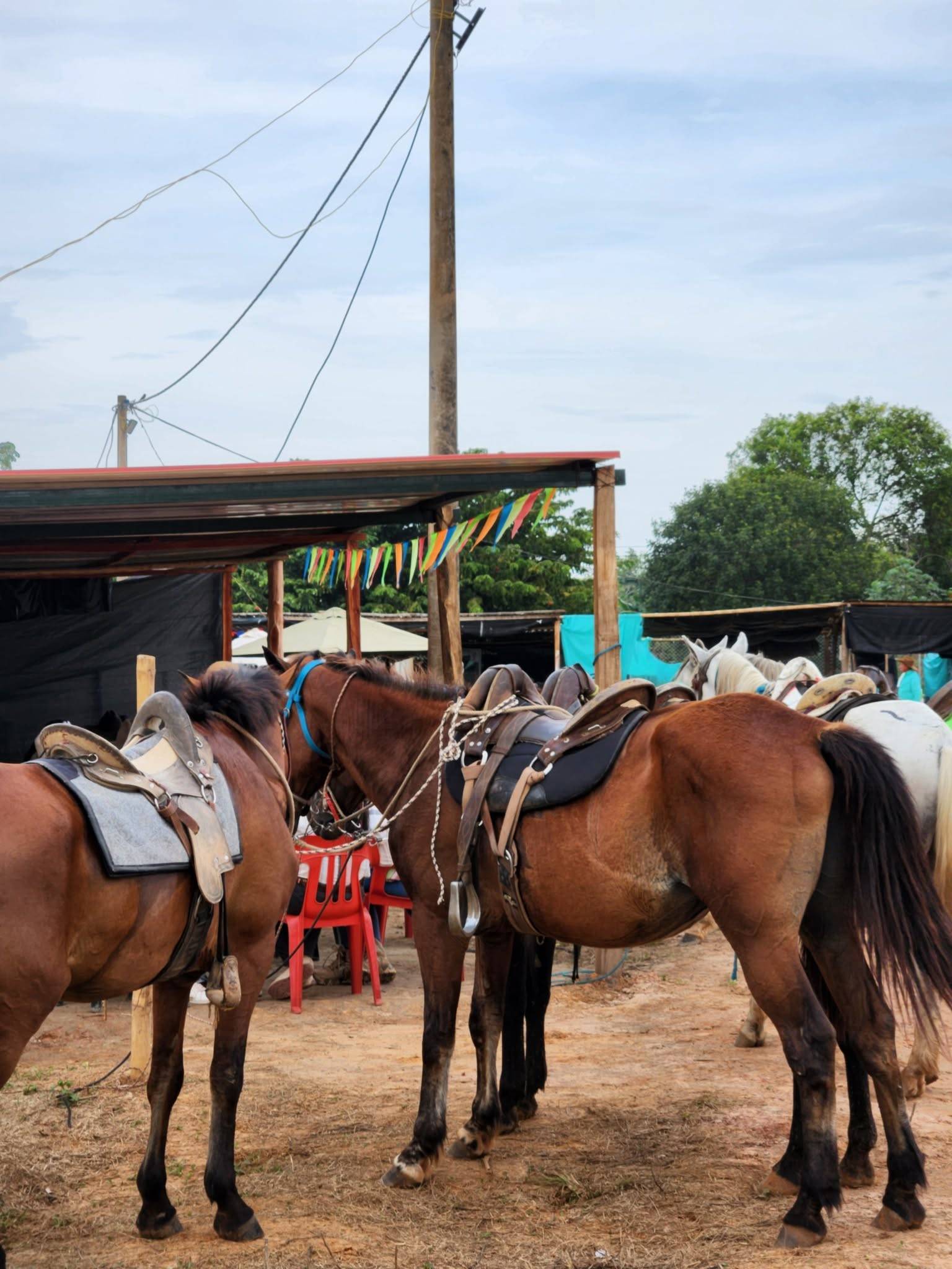 Caballos ensillados amarrados frente a los toldos, con banderines de colores bajo el techo.