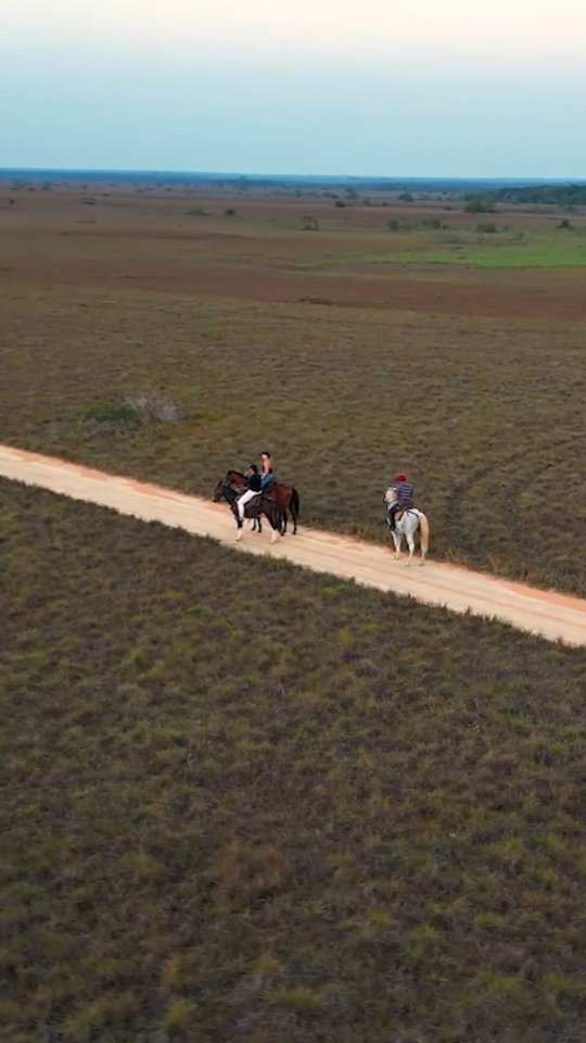 Vista desde el aire de dos jinetes por un camino de tierra en la sabana.