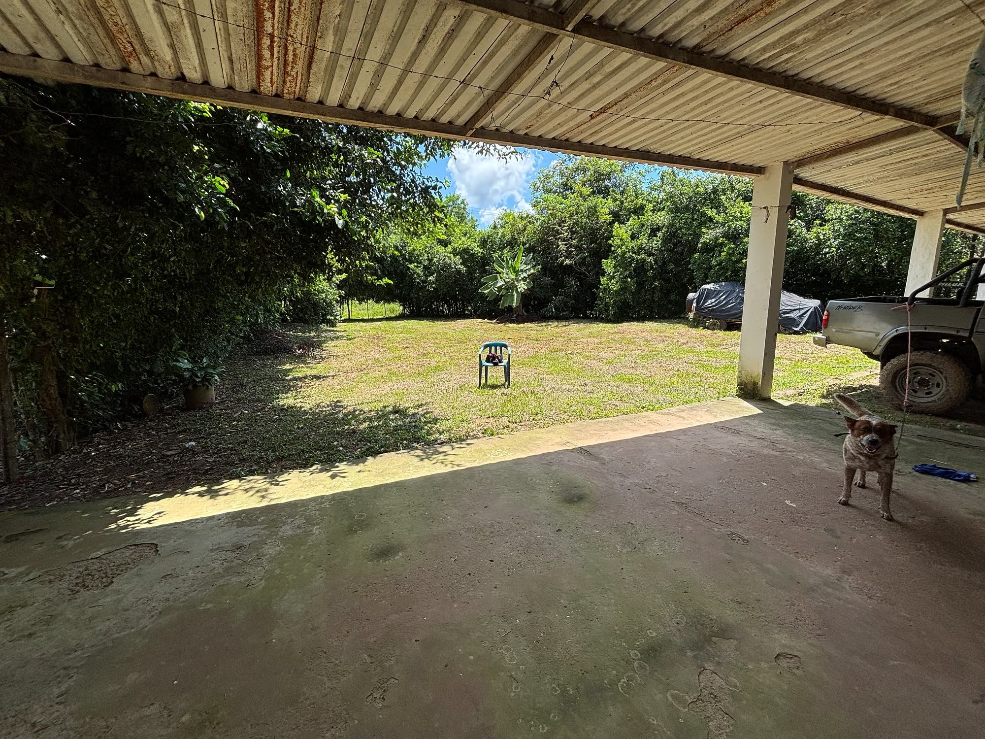 Parqueadero cubierto con techo de zinc que se abre a una zona verde con árboles; al fondo, una silla, una camioneta y un perro.